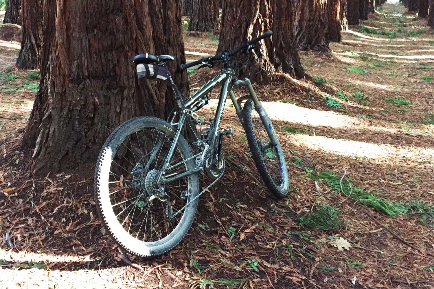Yarra Valley Rail Trail Extension bike resting against tree